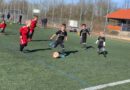 U7 Minikicker Festival im Stadion am Westhang